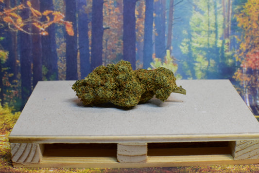 CANDY MELON